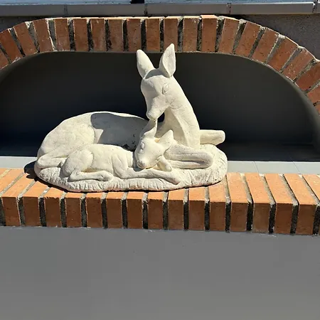 El Embrujo De Granada * Gojar